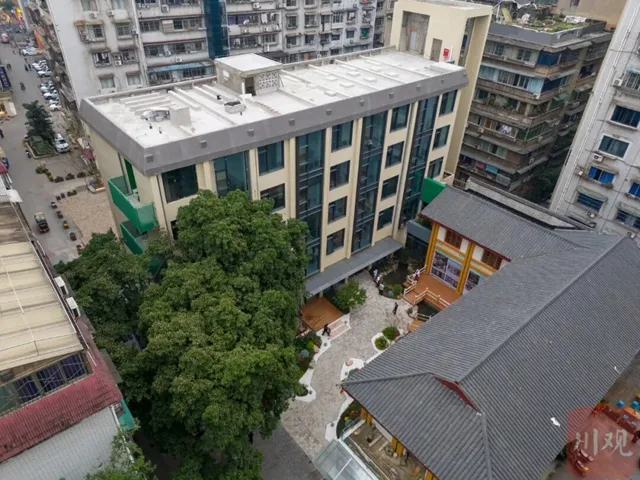 进退之间,宜宾百年古树下飘出咖啡香(图2) 2.jpg